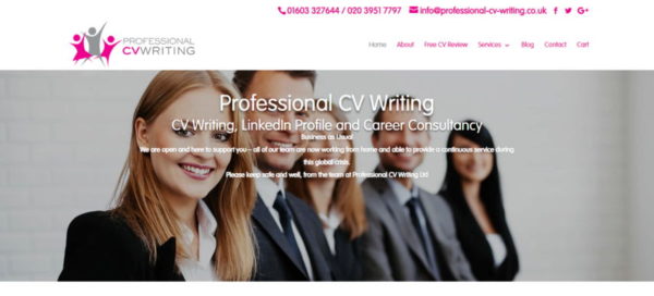 Professional-CV-Writing.co.uk